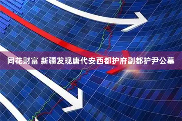 同花财富 新疆发现唐代安西都护府副都护尹公墓